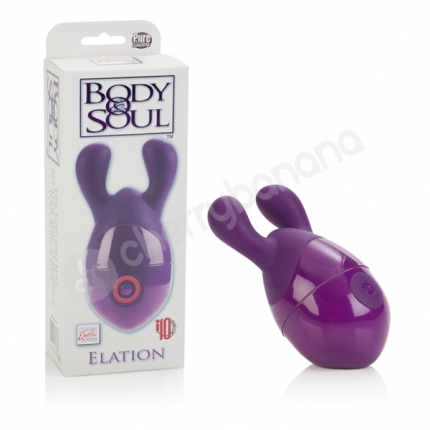 Body & Soul Elation Purple Vibrating Massager