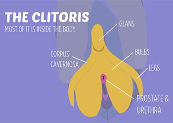 The Right Touch - Clitoral Stimulation