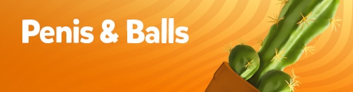 Penis & Balls