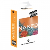 Four Seasons Naked Allsorts Regular Condoms 6 Pack