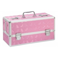 Lockable Large Sex Toy Chest Box Pink