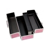 Lockable Large Sex Toy Chest Storage Box Pink