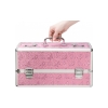 Lockable Large Sex Toy Chest Storage Box Pink