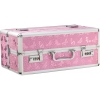 Lockable Large Sex Toy Chest Storage Box Pink