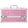 Lockable Large Sex Toy Chest Storage Box Pink