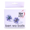 Adam & Eve Ben Wa Balls