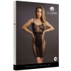 Le Desir Lace & Fishnet Dress