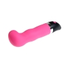 Duo Obsessions Lavish Pink Vibrator