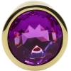 Hidden Treasures Gold & Purple Gem 2.9" Butt Plug