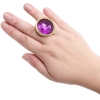 Hidden Treasures Gold & Purple Gem 2.9" Butt Plug