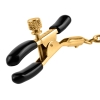 Fetish Fantasy Gold Chain Nipple Clamps