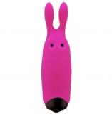 Adrien Lastic Rabbit Pink 10 Speed Powerful Pocket Vibrator