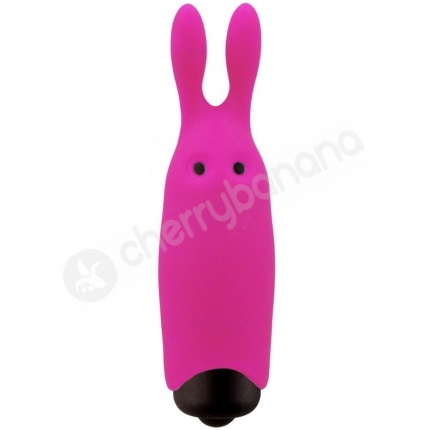 Adrien Lastic Rabbit Pink 10 Speed Powerful Pocket Vibrator