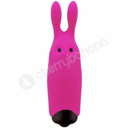 Adrien Lastic Rabbit Pink 10 Speed Powerful Pocket Vibrator Adrien Lastic Rabbit Pink 10 Speed Powerful Pocket Vibrator