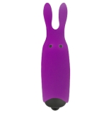 Adrien Lastic Rabbit Purple 10 Speed Powerful Pocket Vibrator