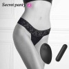 Secret Panty 2 Wireless 10 Speed Vibrating Panties