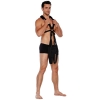 Whipsmart Body Swing Black Padded Harness
