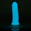 Clone-A-Willy Glow In The Dark Vibrator Moulding Kit Blue