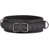 Fetish Collection Faux Leather Adjustable Collar With Leash