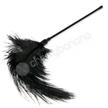 Fetish Collection Black Feather Tickler