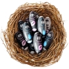 Fifi Touch Passion Master Masturbation Egg