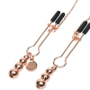Fifty Shades Freed All Sensation Nipple & Clitoral Chain & Clamps