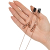 Fifty Shades Freed All Sensation Nipple & Clitoral Chain & Clamps