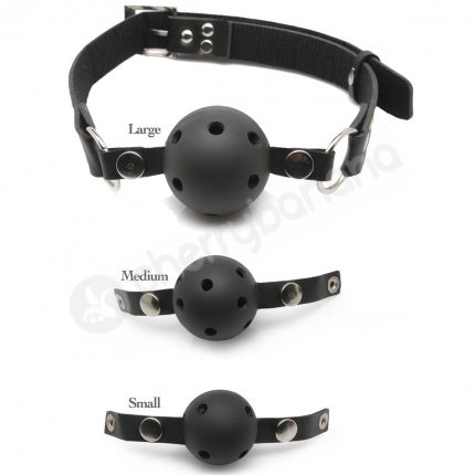 Fetish Fantasy Series Ball Gag Training System