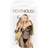 Penthouse Lingerie Black High Profile Crotchless Bodystocking