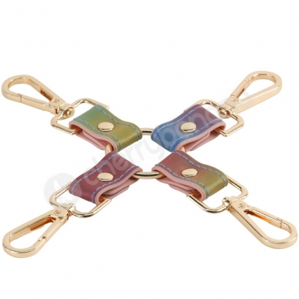 Spectra Bondage Rainbow & Gold Hogtie Clips