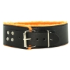 Orange Is The New Black Short Leash