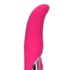 The Roberta Pleaser Pink Vibrator