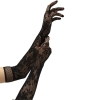 Baci White Label Black Flower Lace Opera Gloves