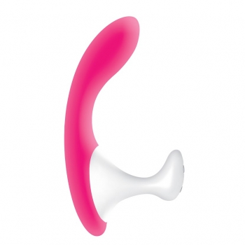 Adam & Eve L'arque Pink G-Spot Vibrator