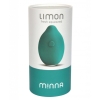Limon Teal Rechargeable Vibrator