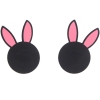 Easter Bunny Came Early Nipple Pasties 2 Pack