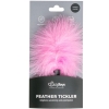 Fetish Collection Small Pink Fluffy Feather Tickler