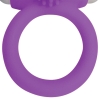 Cherry Banana Purple Twin Teaser Vibrating Cock Ring