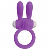 Cherry Banana Purple Twin Teaser Vibrating Cock Ring