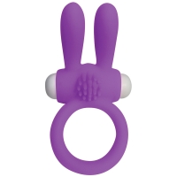 Cherry Banana Purple Twin Teaser Vibrating Cock Ring