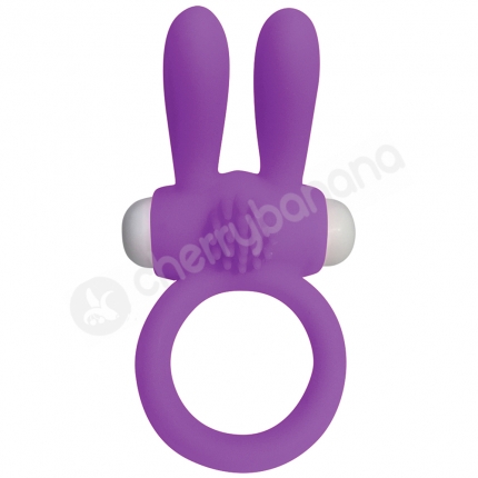 Cherry Banana Purple Twin Teaser Vibrating Cock Ring Cherry Banana Purple Twin Teaser Vibrating Cock Ring