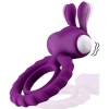 Cherry Banana Purple Rabbit Vibrating Cock & Balls Ring