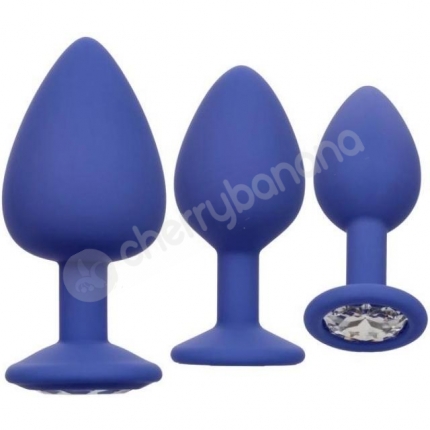 Calexotics Cheeky Gems Purple Silicone Butt Plug With Gem Base Training Kit Calexotics Cheeky Gems Purple Silicone Butt Plug With Gem Base Training Kit