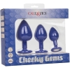 Calexotics Cheeky Gems Purple Silicone Butt Plug With Gem Base Training Kit