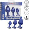 Calexotics Cheeky Gems Purple Silicone Butt Plug With Gem Base Training Kit