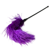 Fetish Collection Purple Feather Tickler