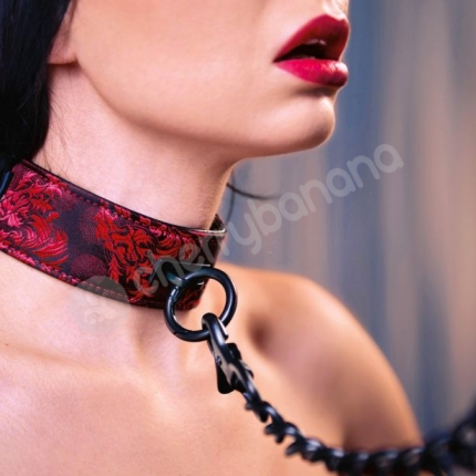 Scandal Collar With Leash