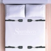 Sportsheets Under The Bed Restraint System