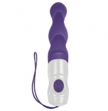Evolved Wet & Wild Purple Anal Vibrator With Shower Hook