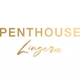 Penthouse Lingerie